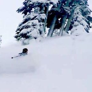 Meet your Posher, Willick